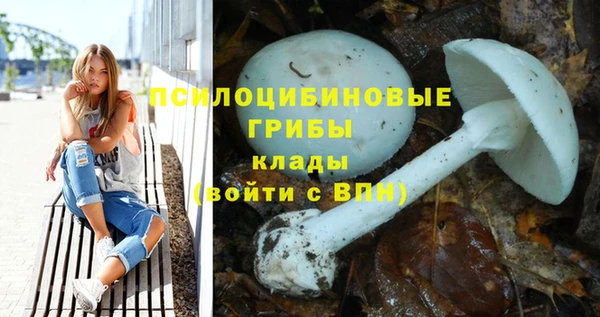 прущая мука Михайлов