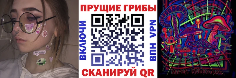 Галлюциногенные грибы мицелий  закладки  Ковров 