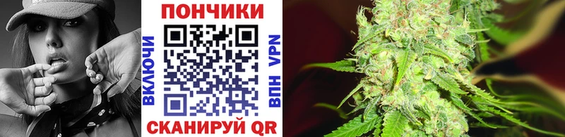 Бошки Шишки White Widow  купить наркоту  Ковров 